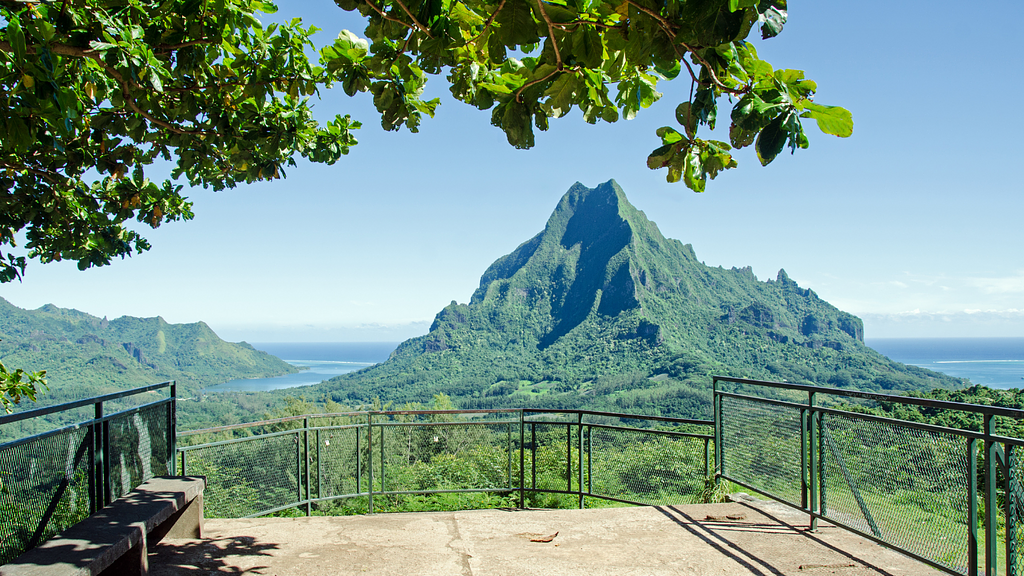 Belvedere Lookout