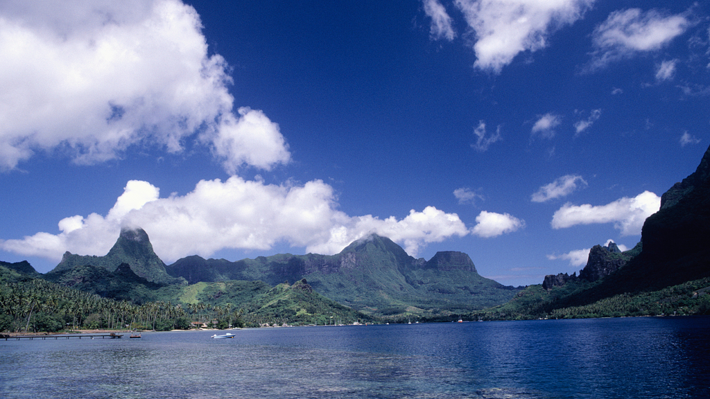 Cook’s Bay