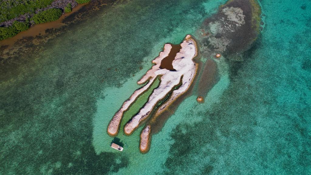 Visitando la isla de caracolas en ruta al arrecife de herradura en un viaje reciente