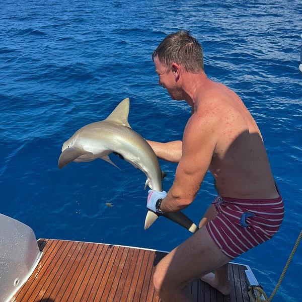 Luchando con un tiburón de arrecife que enganchamos sobre un naufragio bajando un blue runner vivo