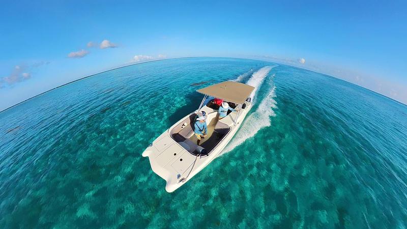 Weaving in and out of coral heads en route to Horseshoe Reef