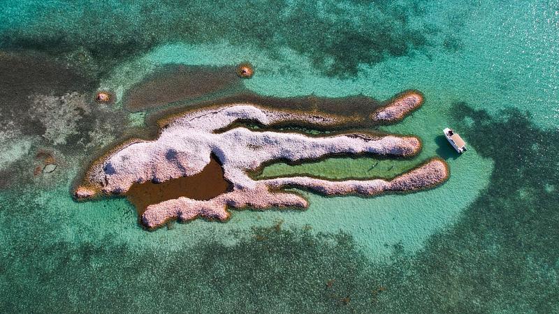 Hicimos una parada en Conch Island para conocer algo de la historia local