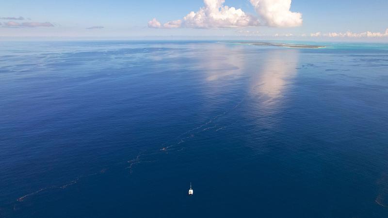 Las condiciones calmadas y cristalinas nos permitieron ir hasta el North Drop desde Anegada