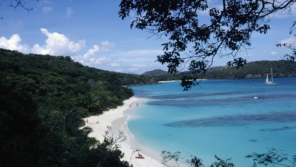 Trunk Bay