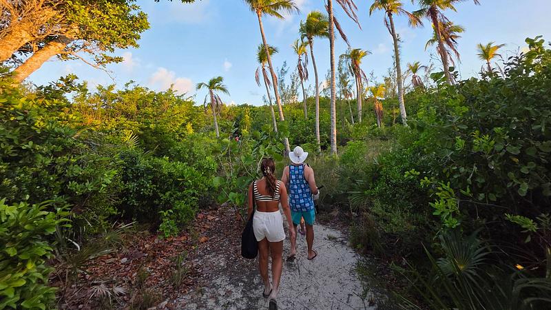 Caminando entre la vegetación de Rose Island