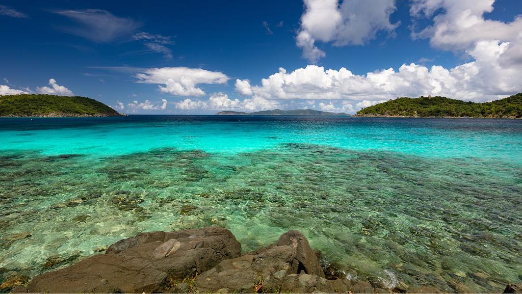 Blues at Hawksnest Bay