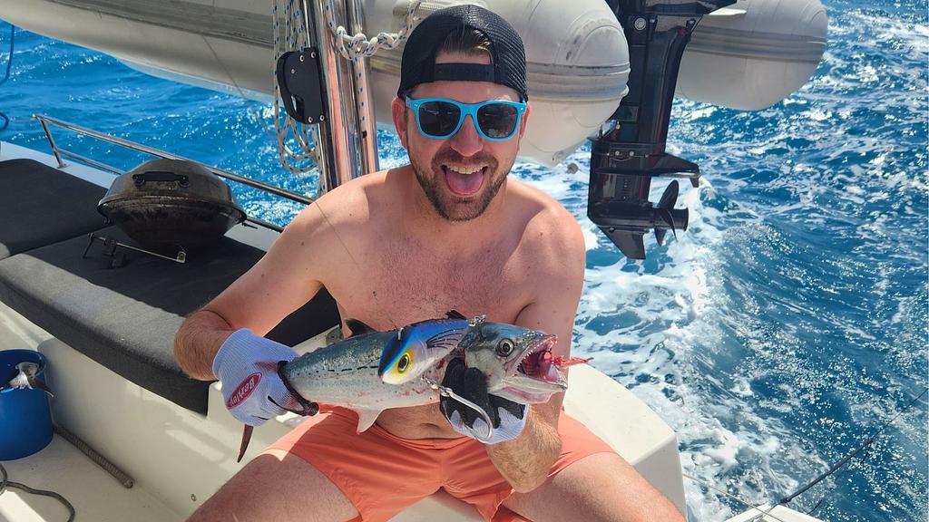 Good eater size cero mackerel caught on a diving lure
