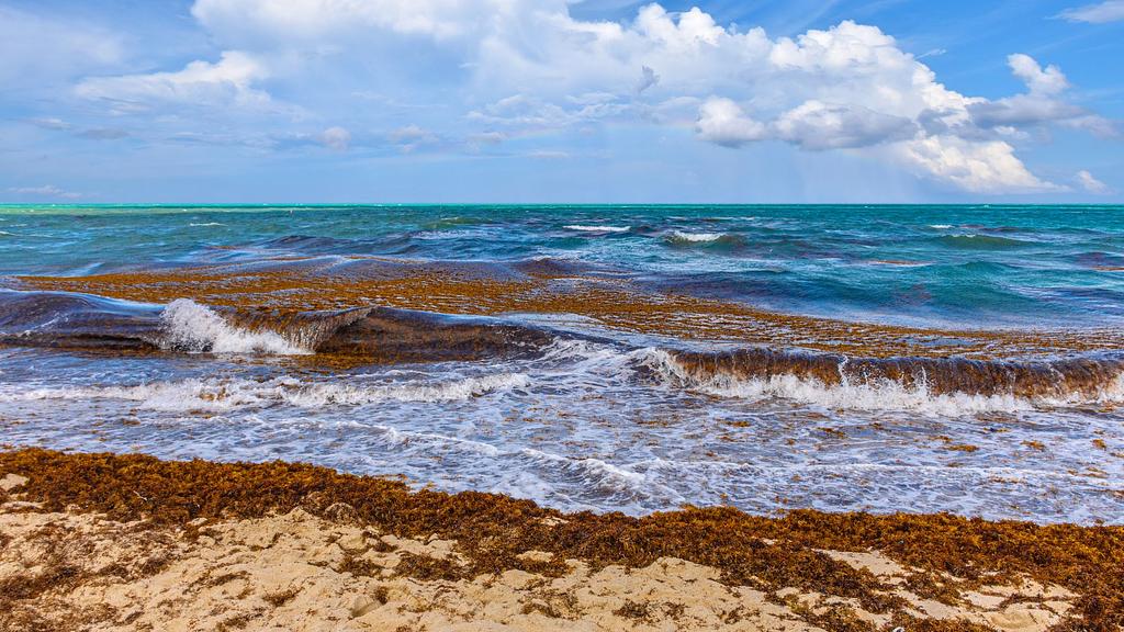 ¡Esto probablemente no era lo que tenías en mente para tus vacaciones caribeñas!