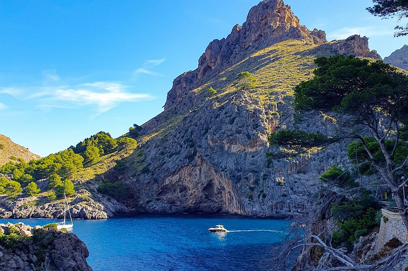 Mallorca's Tramuntana Coast: A Palma Round-Trip