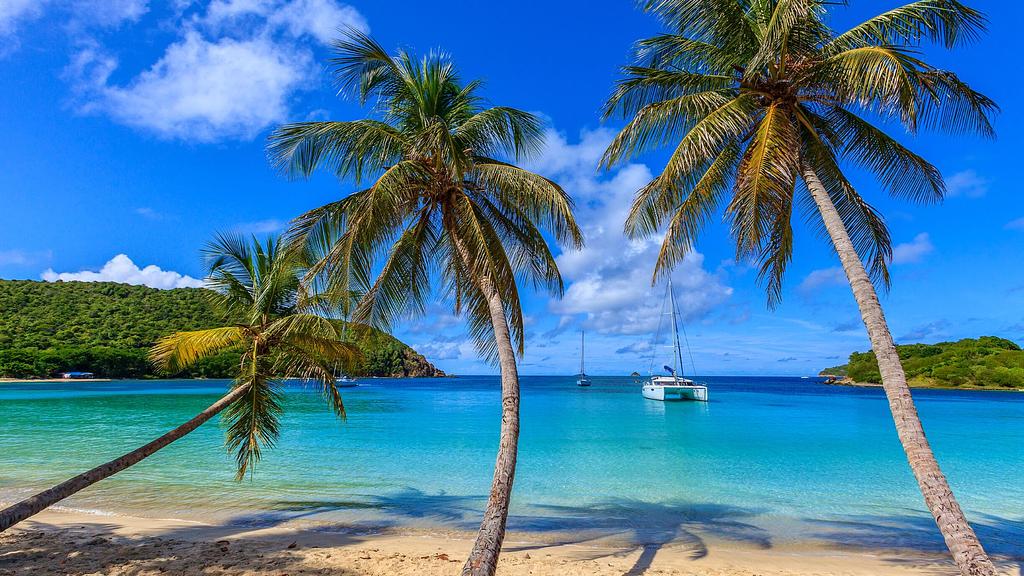 Salt Whistle Bay in the Grenadines